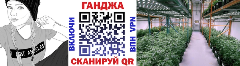 где продают   Тайга  МАРИХУАНА Amnesia 